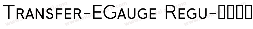 Transfer-EGauge Regu字体转换